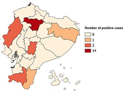 Experiences of the Molecular Diagnosis of Fragile X Syndrome in Ecuador